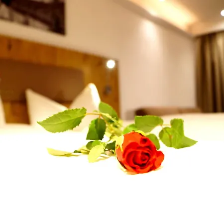 Kajetansbruecke 3* פונדס